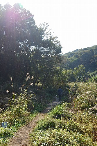 c0124100_11124220.jpg