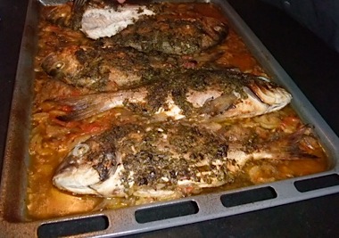 e0149801_2130862.jpg