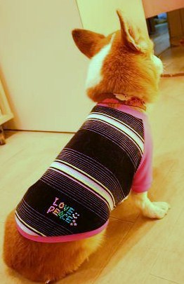 c0126703_179990.jpg