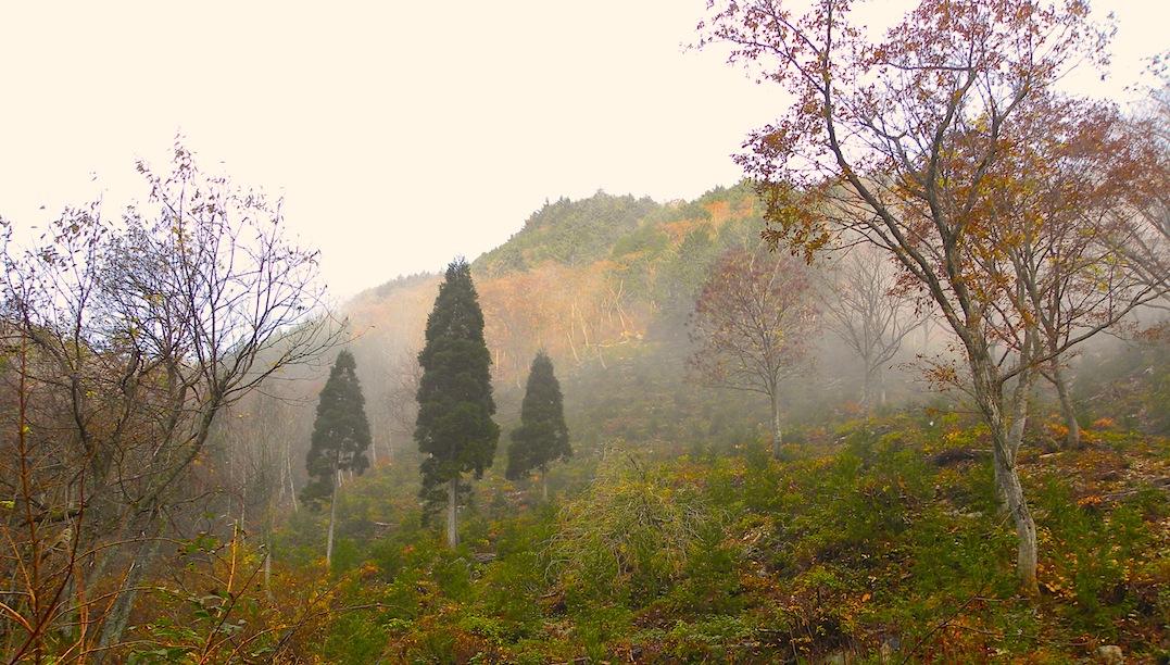 c0078410_8172997.jpg