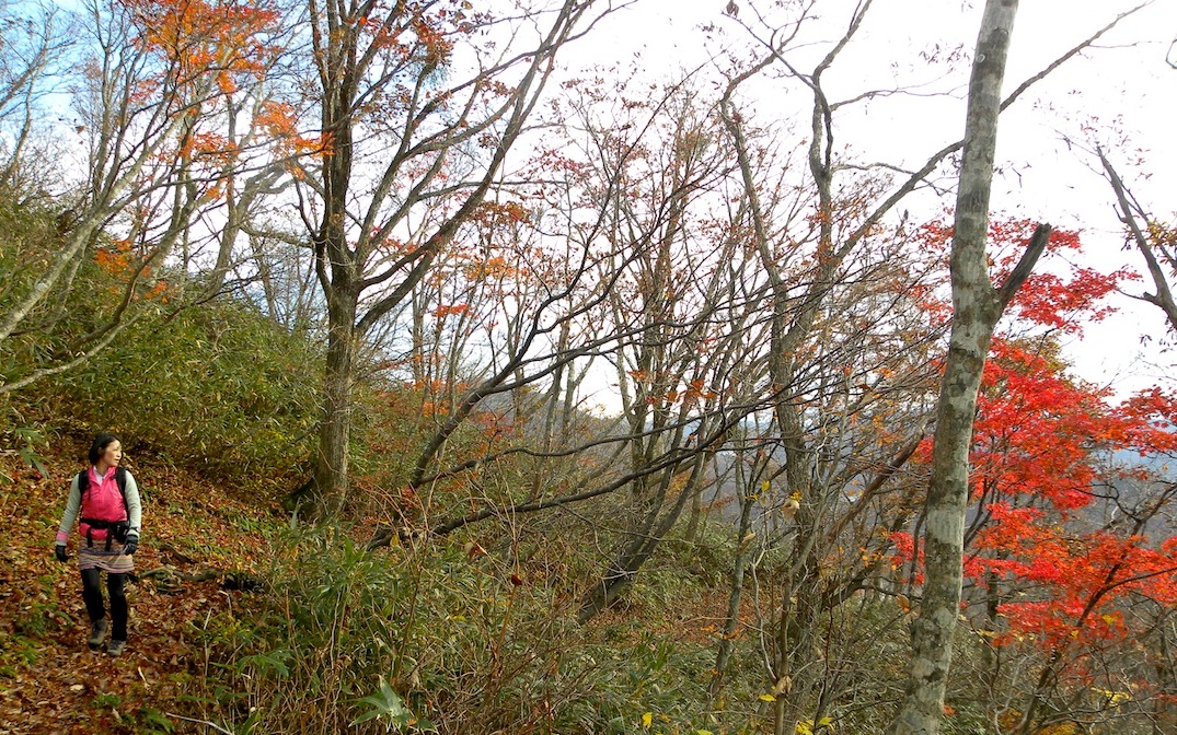 c0078410_8224725.jpg
