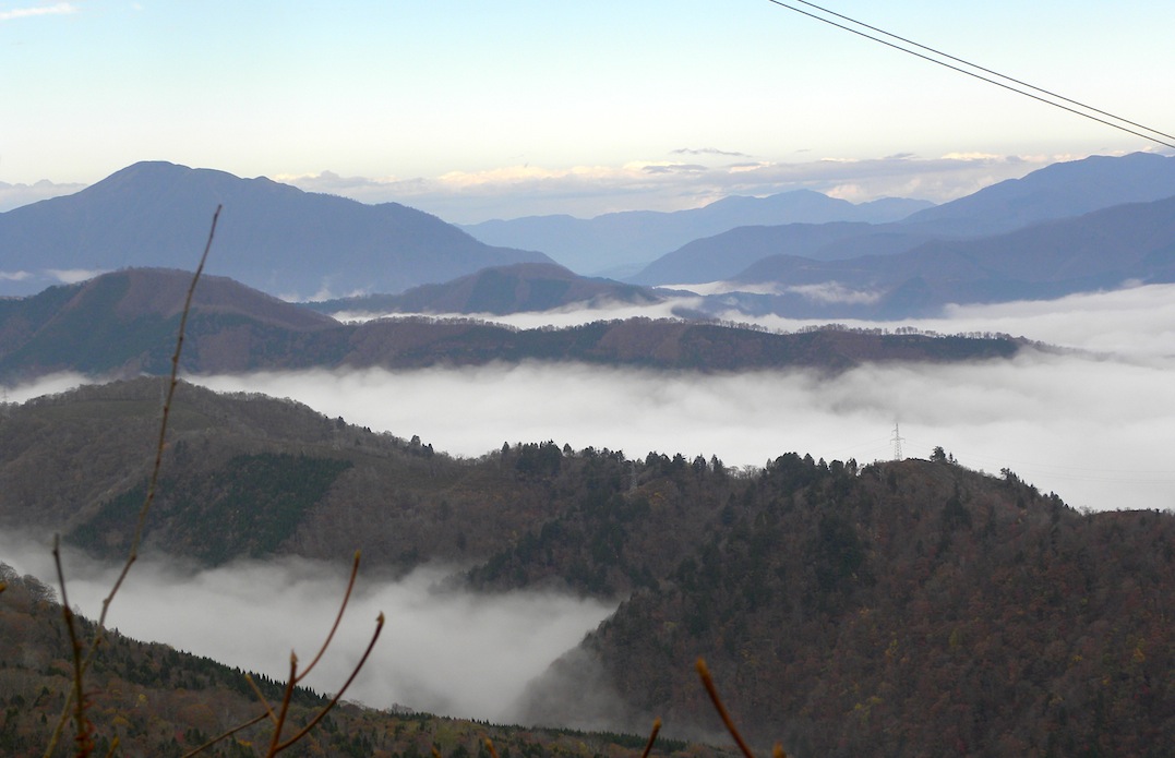 c0078410_8264154.jpg