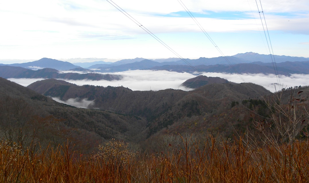 c0078410_8285791.jpg