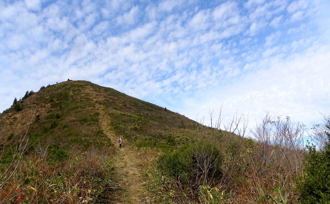 c0078410_834784.jpg