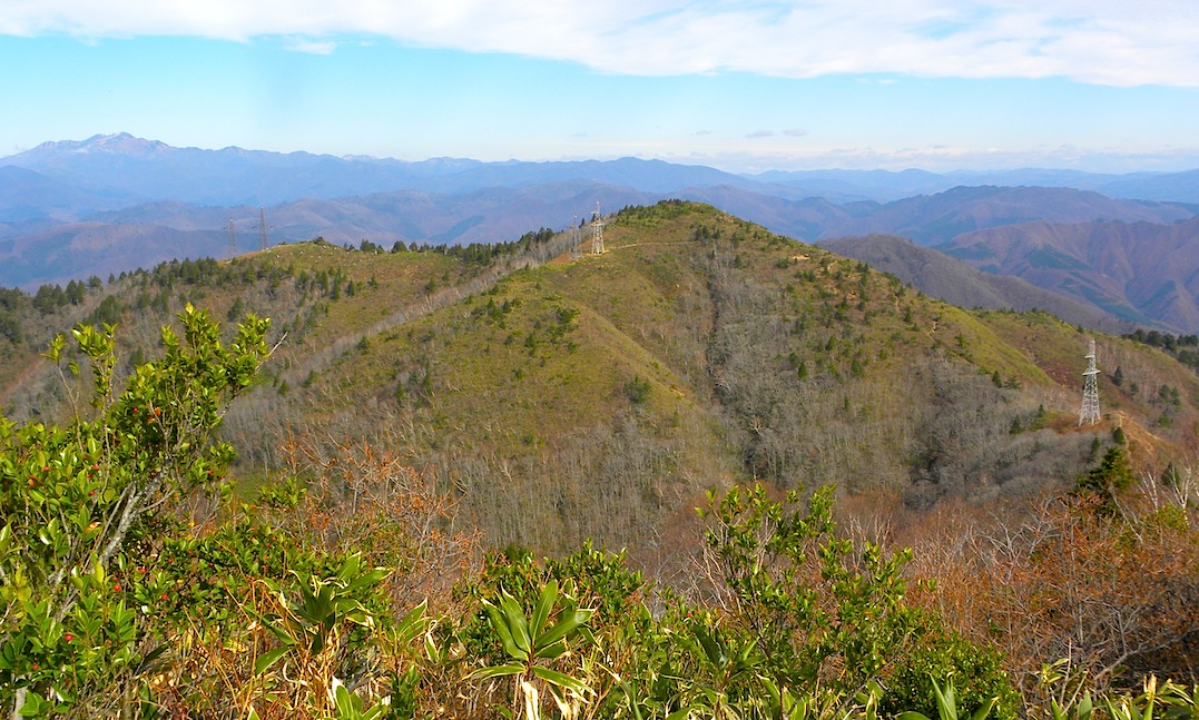 c0078410_8363255.jpg