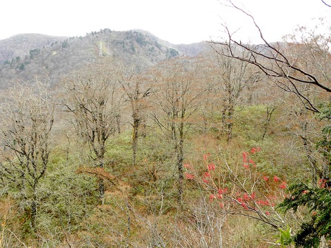 c0078410_8425795.jpg