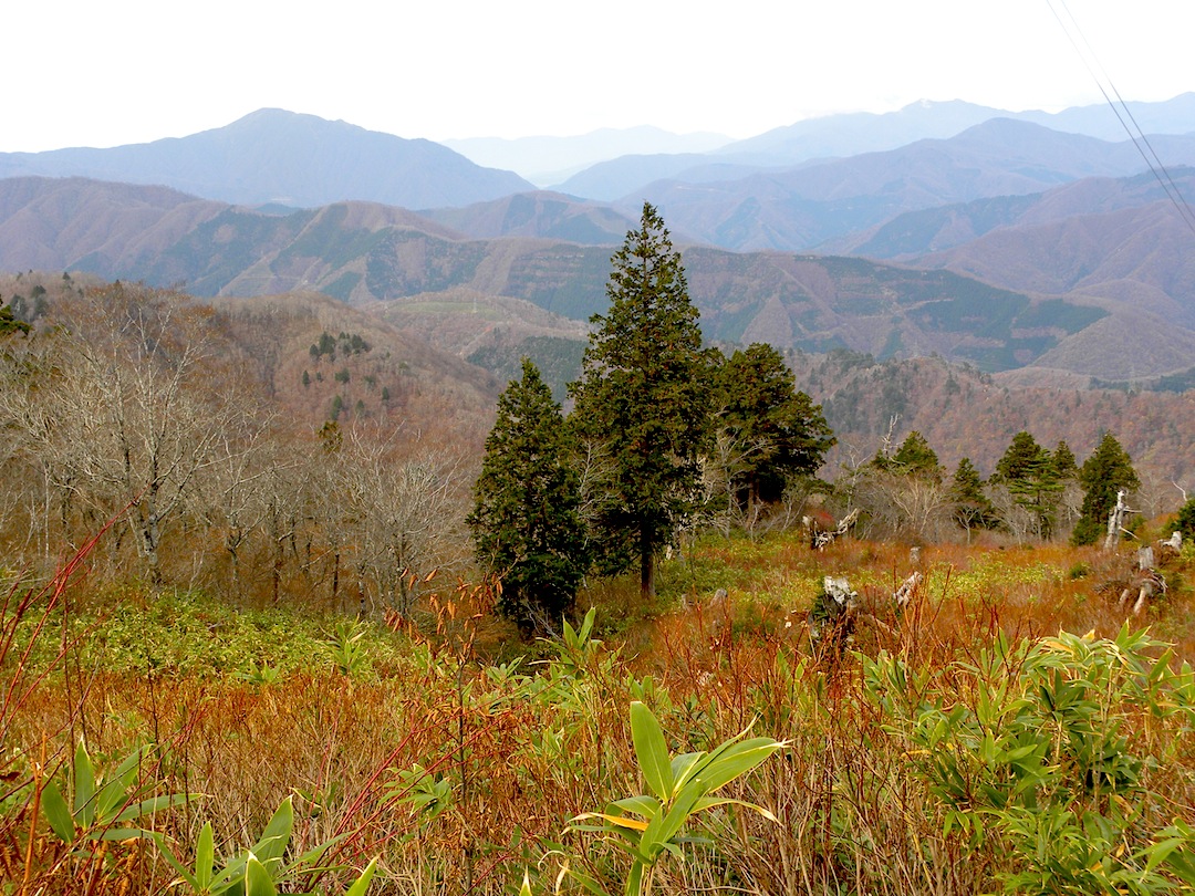 c0078410_8454117.jpg