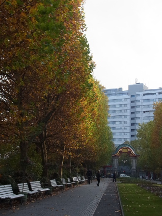 f0200015_20210.jpg