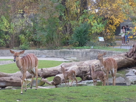 f0200015_2102697.jpg