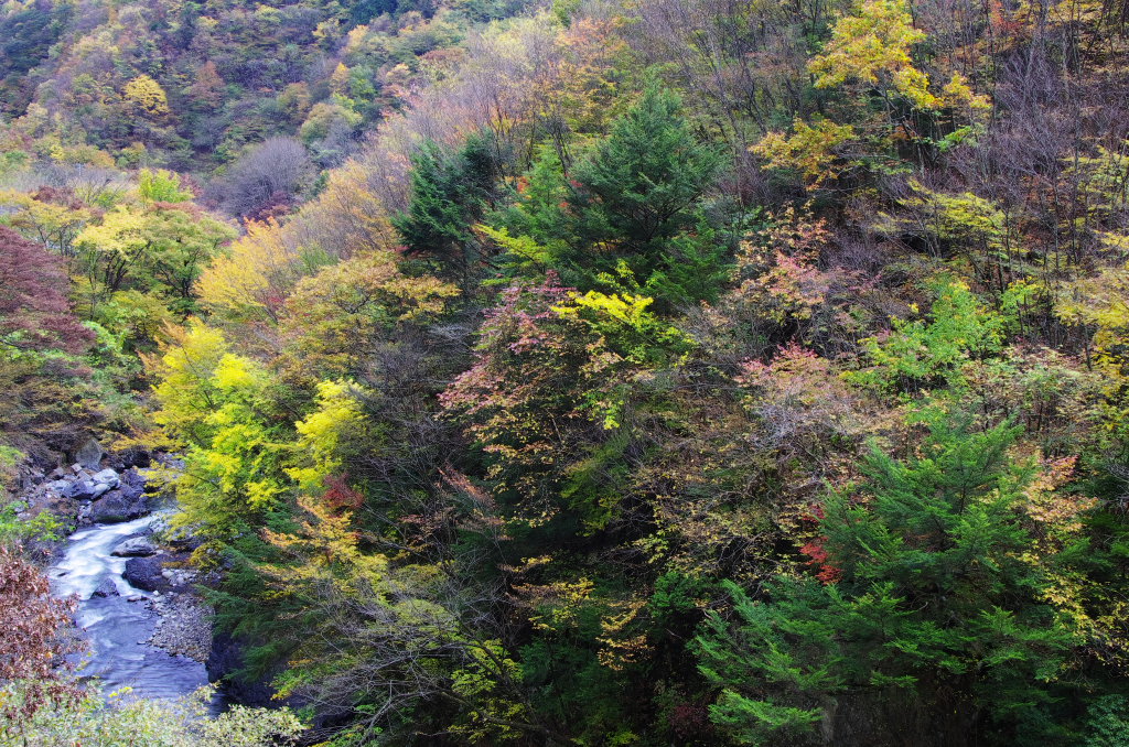 d0192516_19825100.jpg