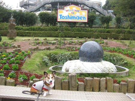モモチちゃんとお出かけ~♪ ~近くでランチ&遊園地_f0155118_73394.jpg