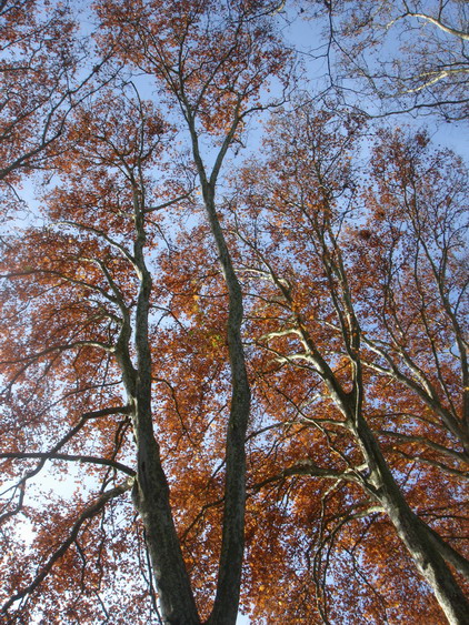 c0124619_7565595.jpg