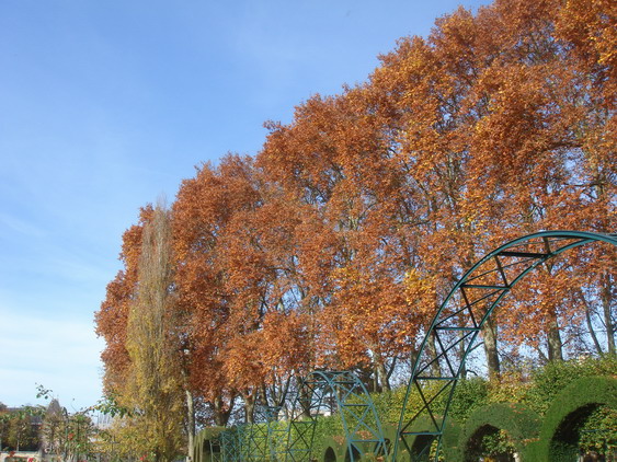 c0124619_7584764.jpg
