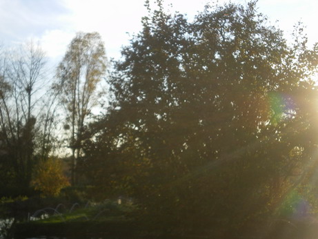 c0124619_8115471.jpg