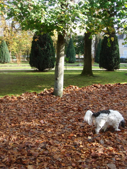 c0124619_812476.jpg
