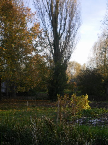 c0124619_8132690.jpg