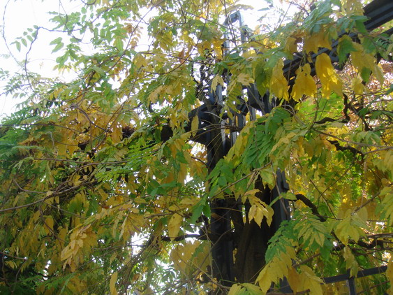 c0124619_815883.jpg