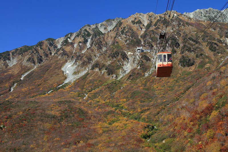 立山に来たれい_a0125122_19504470.jpg