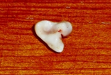 d0247923_23432866.jpg