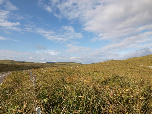 b0231928_4132459.jpg