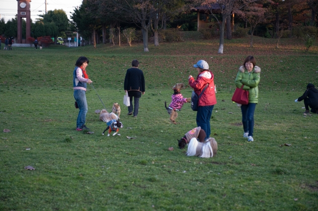 いつもの公園で。_c0051132_2123433.jpg