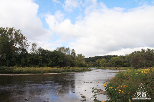 114 Humber River ~溯上するサーモンを求めて~_c0211532_15314312.jpg