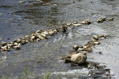 114 Humber River ~溯上するサーモンを求めて~_c0211532_15514677.jpg