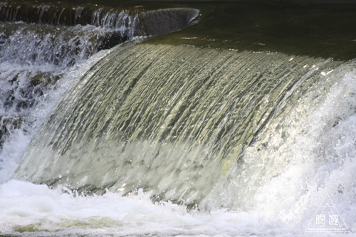 114 Humber River ~溯上するサーモンを求めて~_c0211532_17352264.jpg