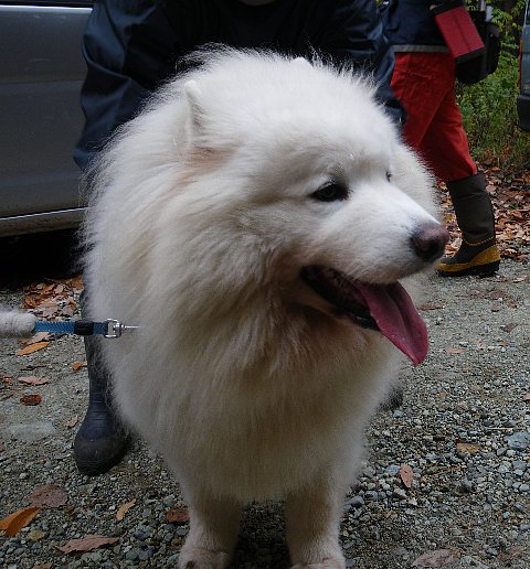 f0118332_01849.jpg