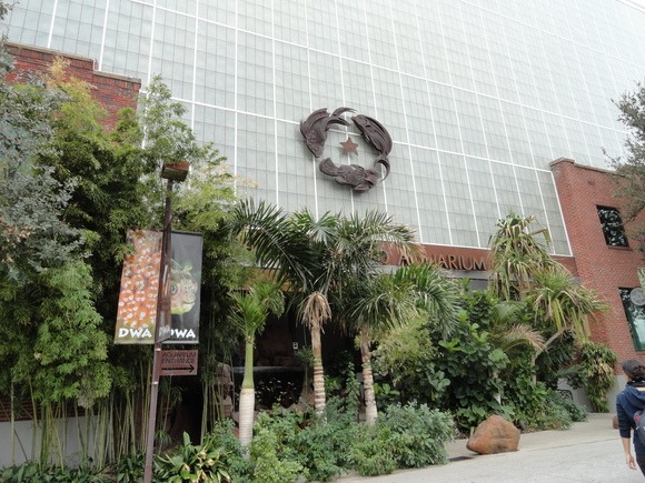 女子遠足　Dallas World Aquarium  その1_f0238932_13113490.jpg