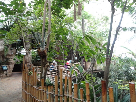 f0238932_13185334.jpg