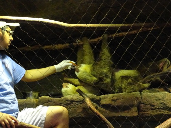 女子遠足　Dallas World Aquarium  その1_f0238932_13271931.jpg