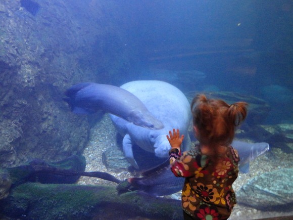 女子遠足　Dallas World Aquarium  その1_f0238932_13391317.jpg