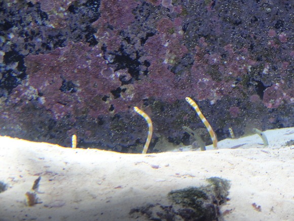 f0238932_1353328.jpg