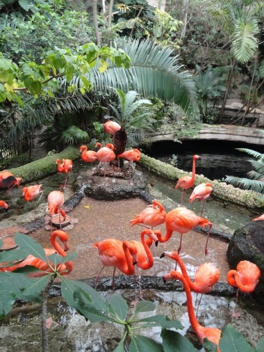 女子遠足　Dallas World Aquarium  その1_f0238932_1482132.jpg