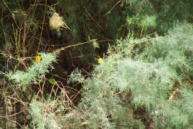 c0011649_7503528.jpg