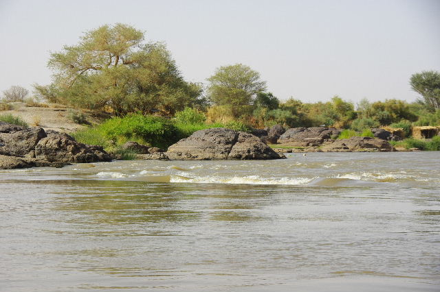 c0011649_80881.jpg