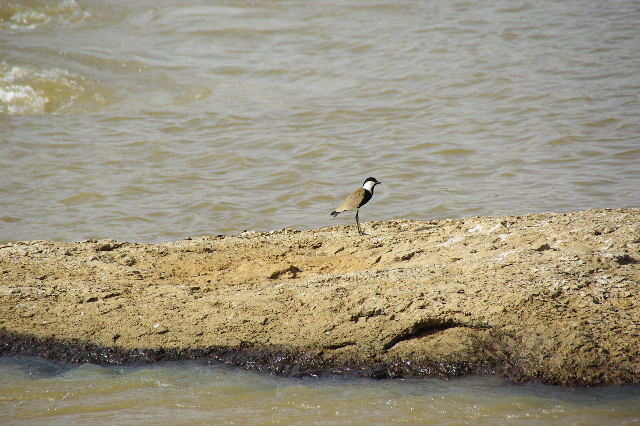 c0011649_821296.jpg