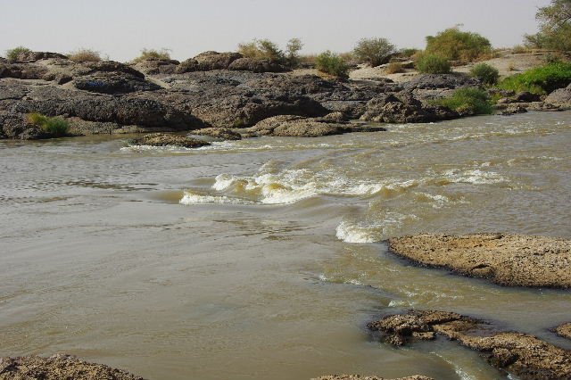 c0011649_863190.jpg