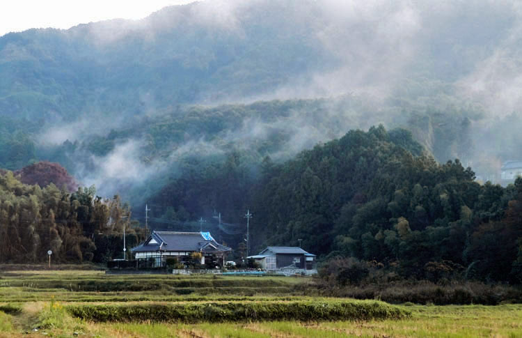 雨上がりの朝・・・常陸太田市_f0089349_6412852.jpg