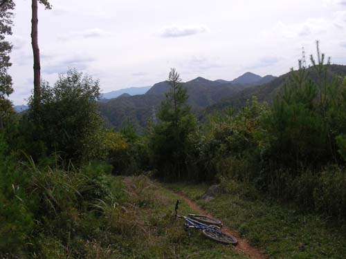 d0144550_1903818.jpg