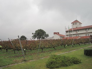 f0234452_79870.jpg