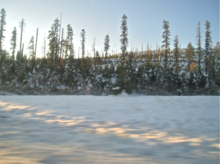 f0238562_1710929.jpg