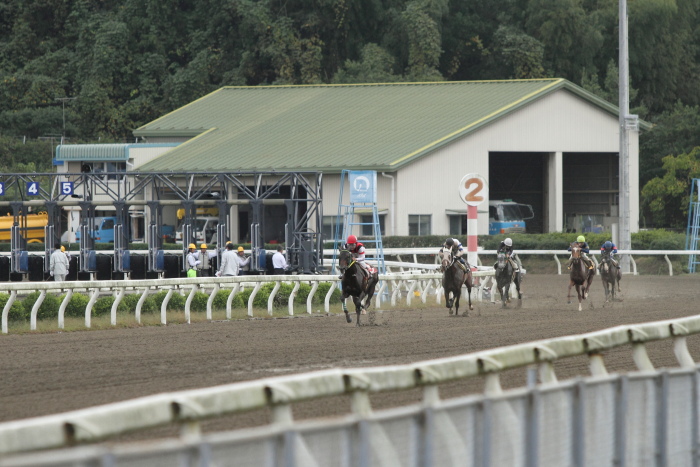 2011年11月6日（日） 高知競馬 1R 伊織と琉風と那葵協賛 実里の三十歳記念特別 C3-10_a0077663_922129.jpg