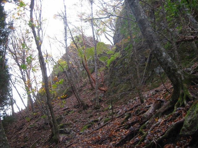 2011.11.9　カロート山～六郎山_c0219866_12122977.jpg