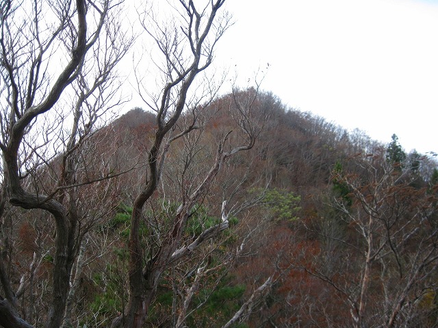 2011.11.9　カロート山～六郎山_c0219866_12131373.jpg