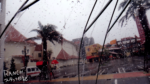 d0181266_2011462.gif