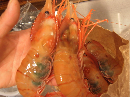 サンダルの季節では・・・・_e0252966_13372335.jpg