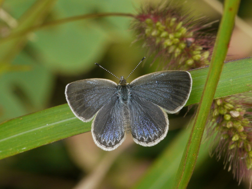 a0146869_64864.jpg