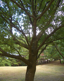 b0149669_21444564.jpg